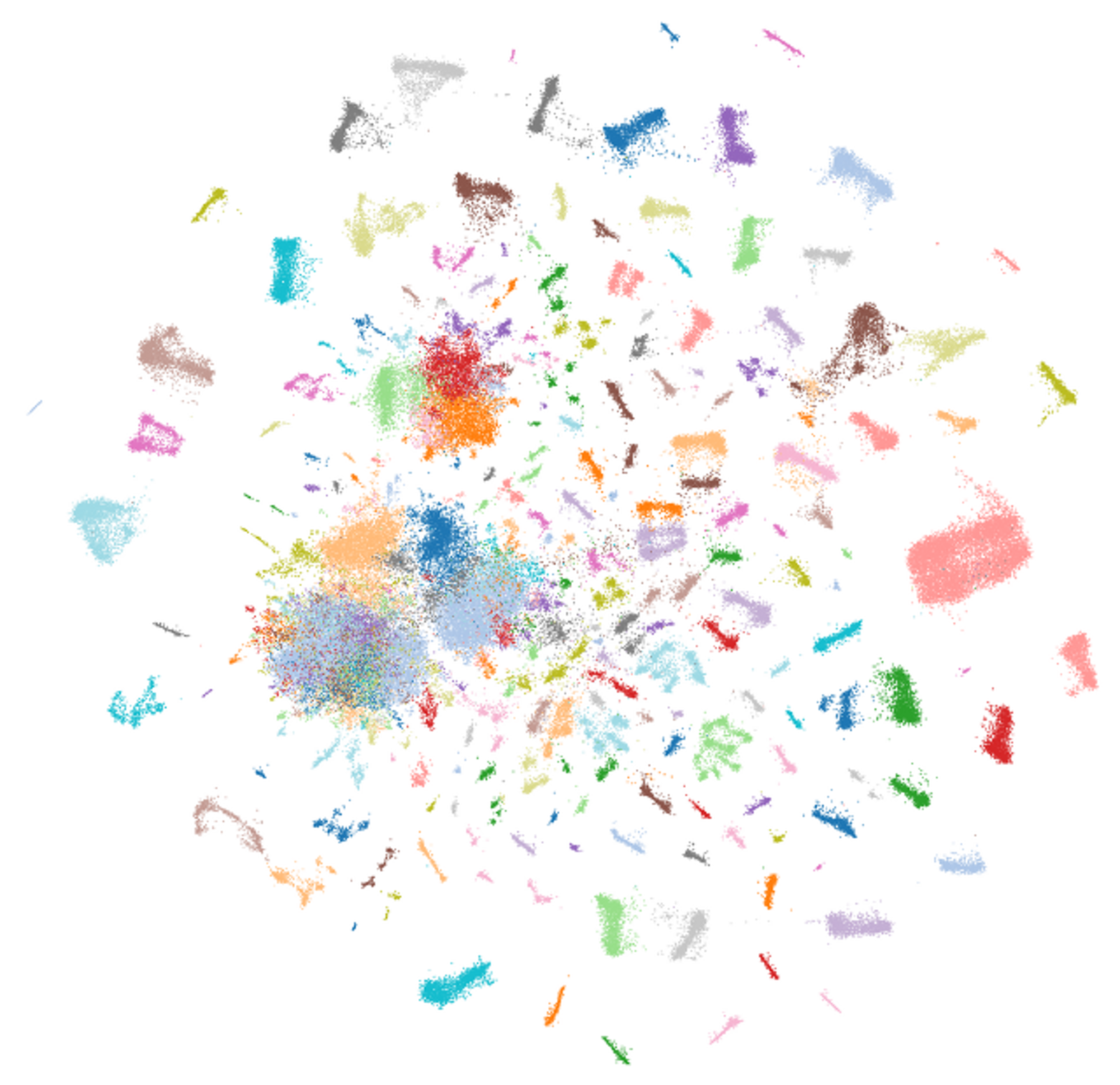 UMAP visualization of fly brain single-cell data